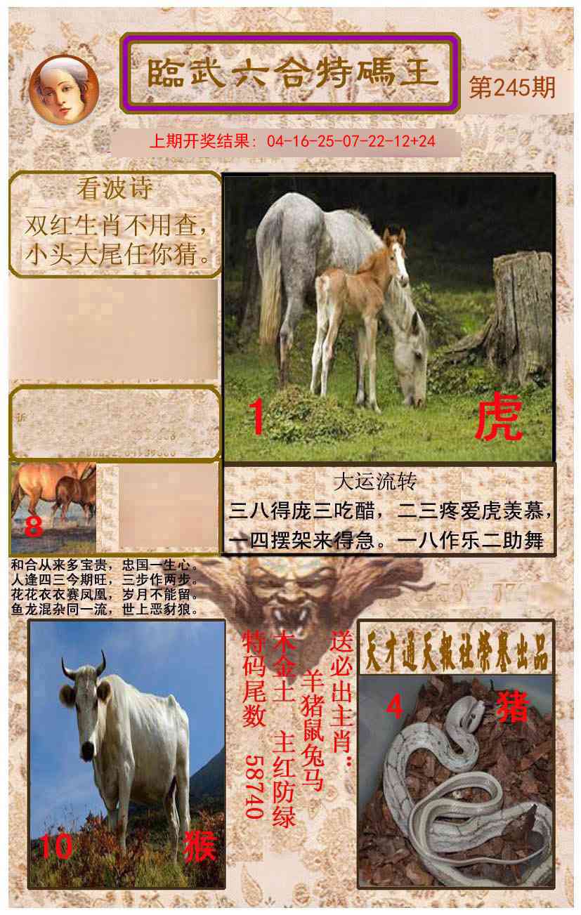245期临武六合特码王[图]