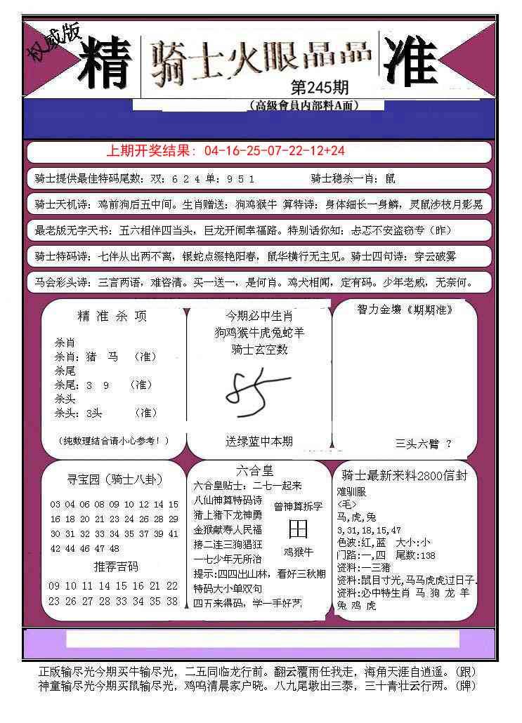 245期骑士火眼晶晶B[图]