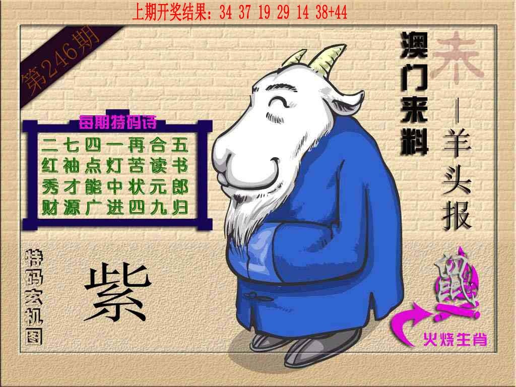 246期(来料)羊报[图]