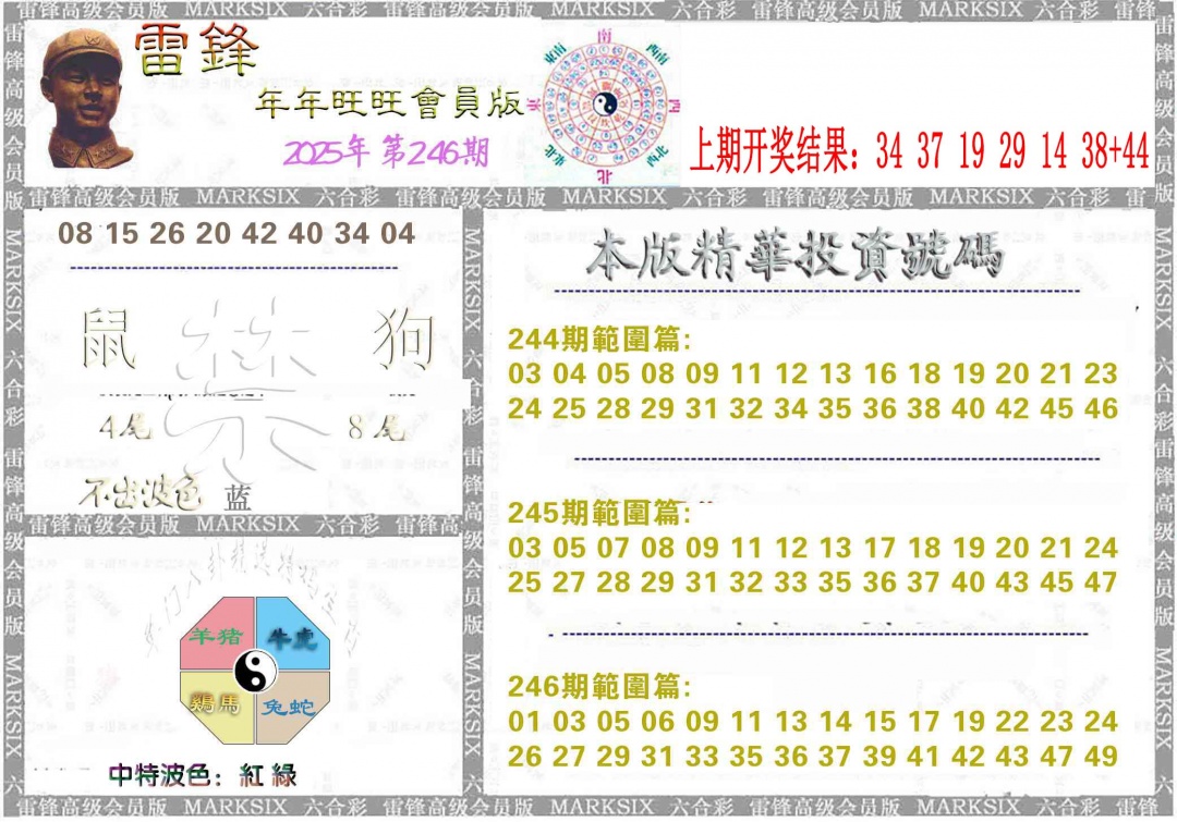 246期雷锋鼠年旺旺版[图]