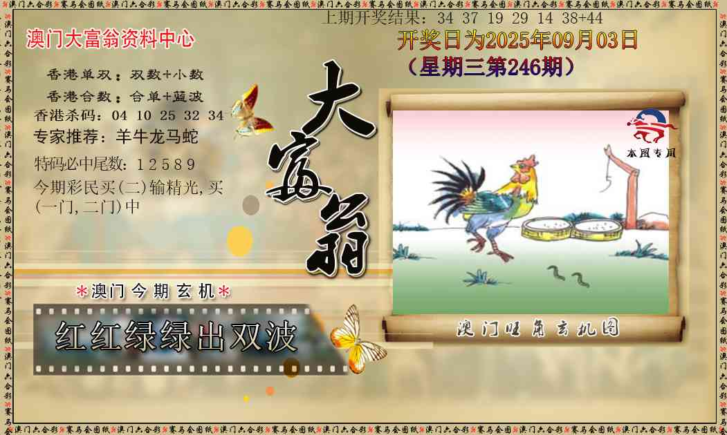 246期新大富翁[图]