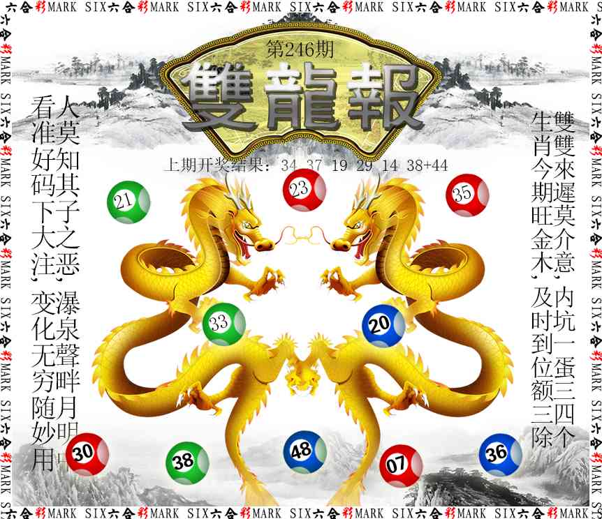 246期双龙报[图]