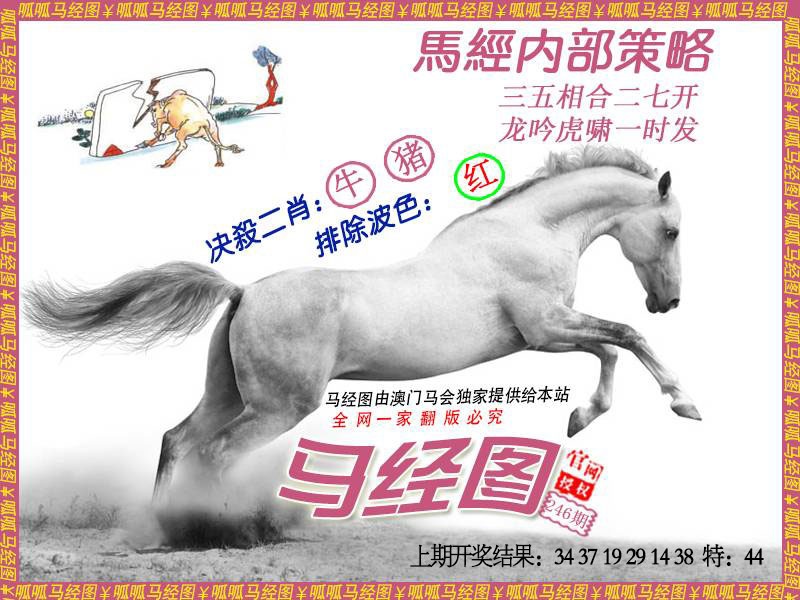 246期马经5[图]