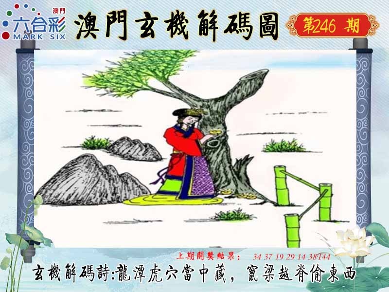246期玄机解码图[图]