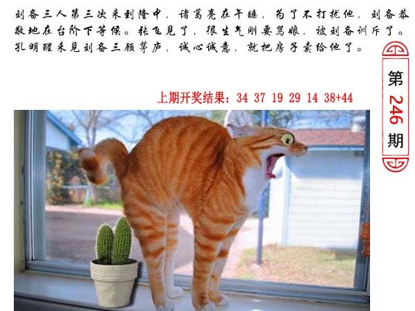 246期澳门生活幽默[图]