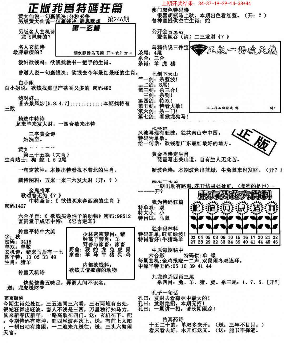 246期我为特码狂篇[图]
