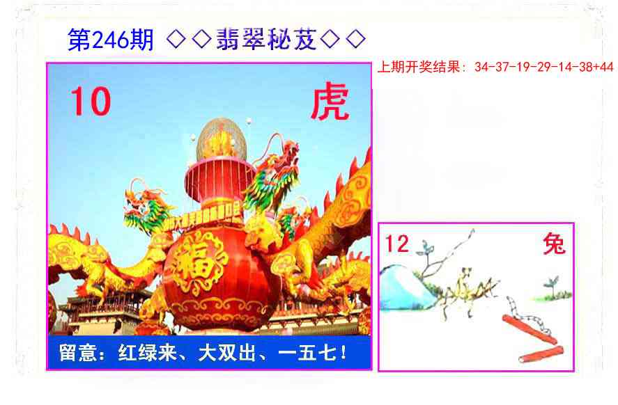 246期翡翠报[图]