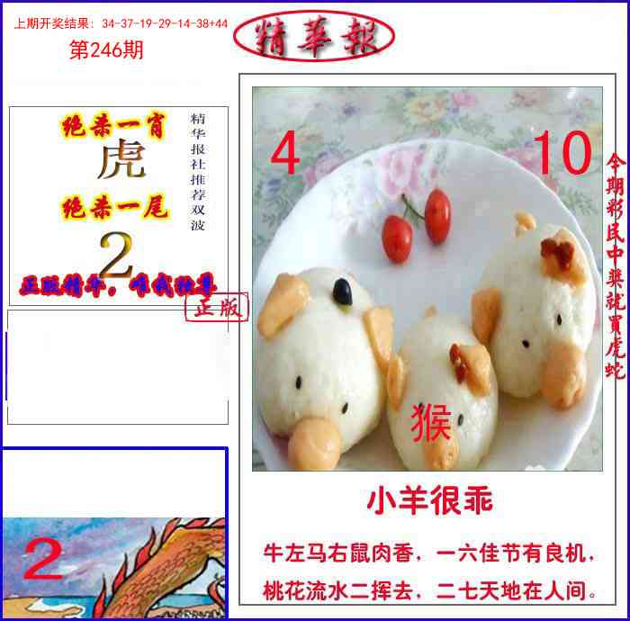246期新精华报报[图]