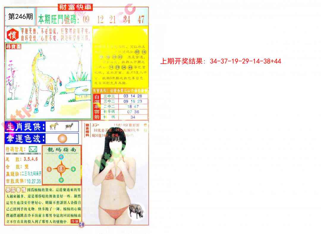 246期财富快车[图]