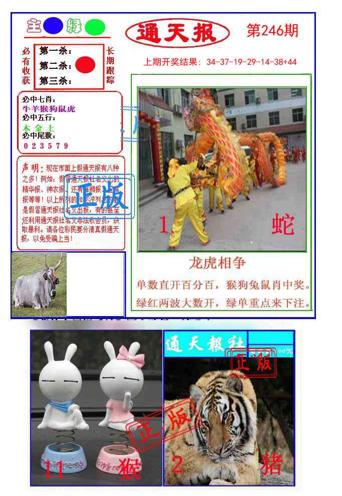 246期通天杀波图1[图]