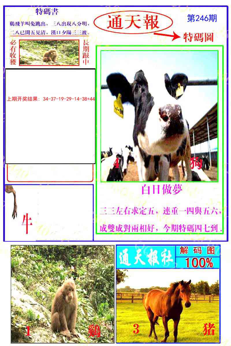 246期通天特解图[图]