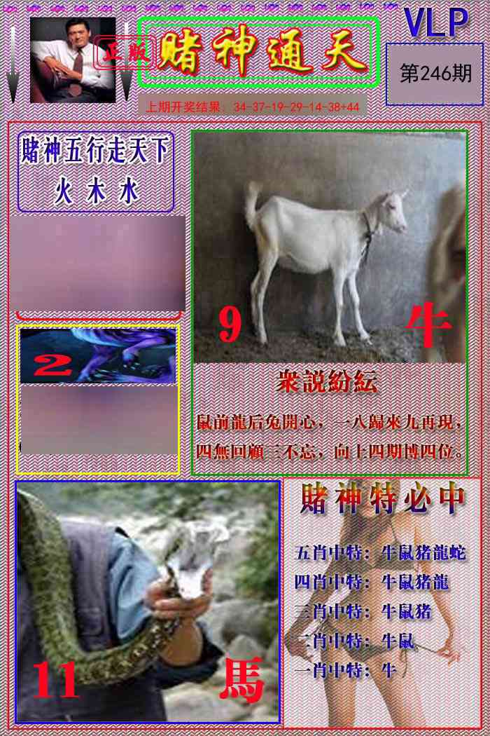 246期赌神通天报[图]