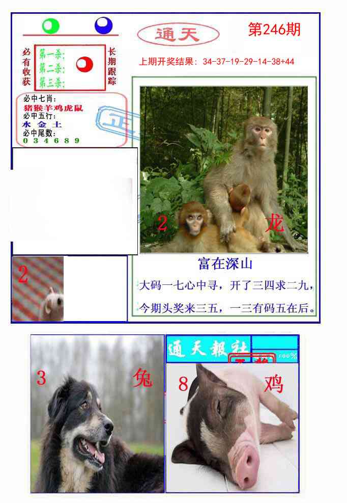 246期通天杀波图2[图]