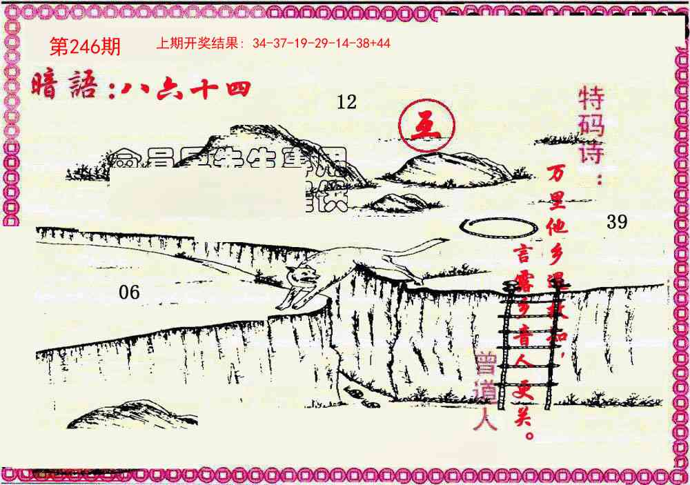 246期新暗语报[图]