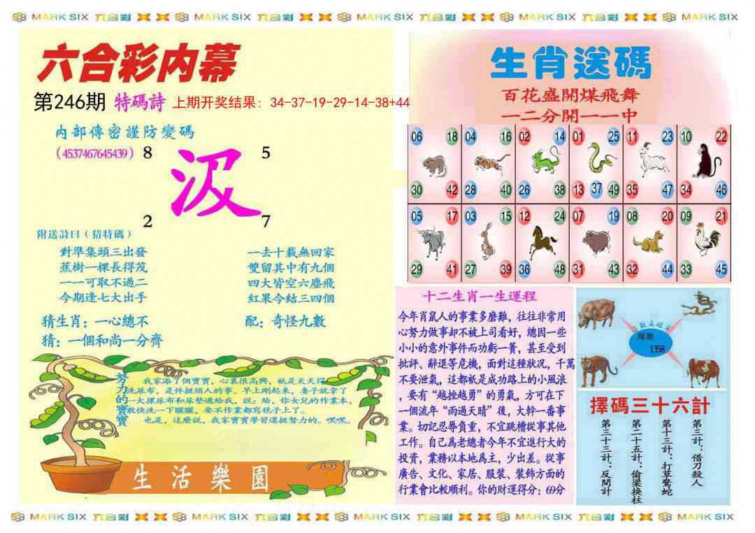 246期九龍内幕B(推荐)[图]