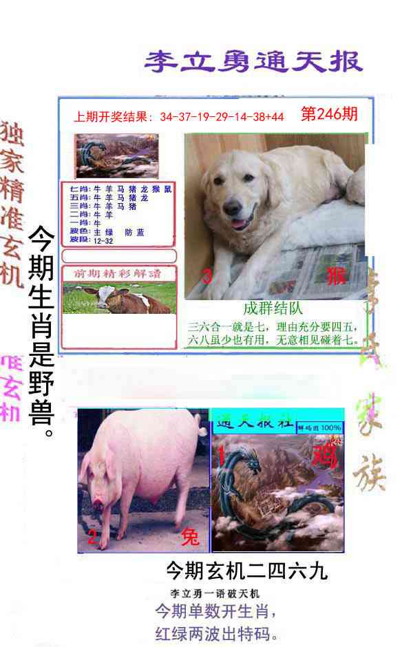 246期李立勇通天报[图]