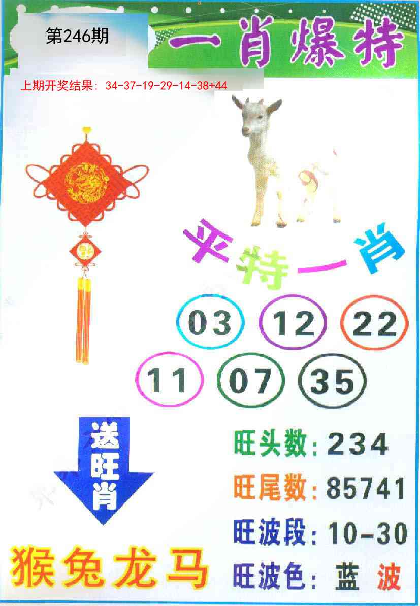 246期一肖爆特[图]
