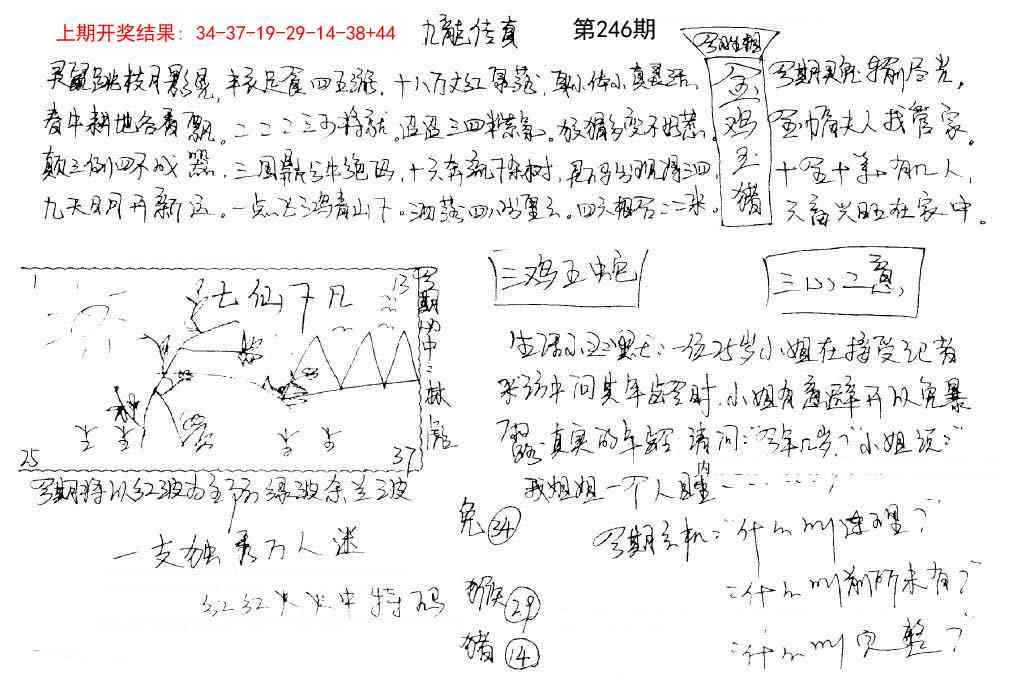 246期手写九龙内幕[图]