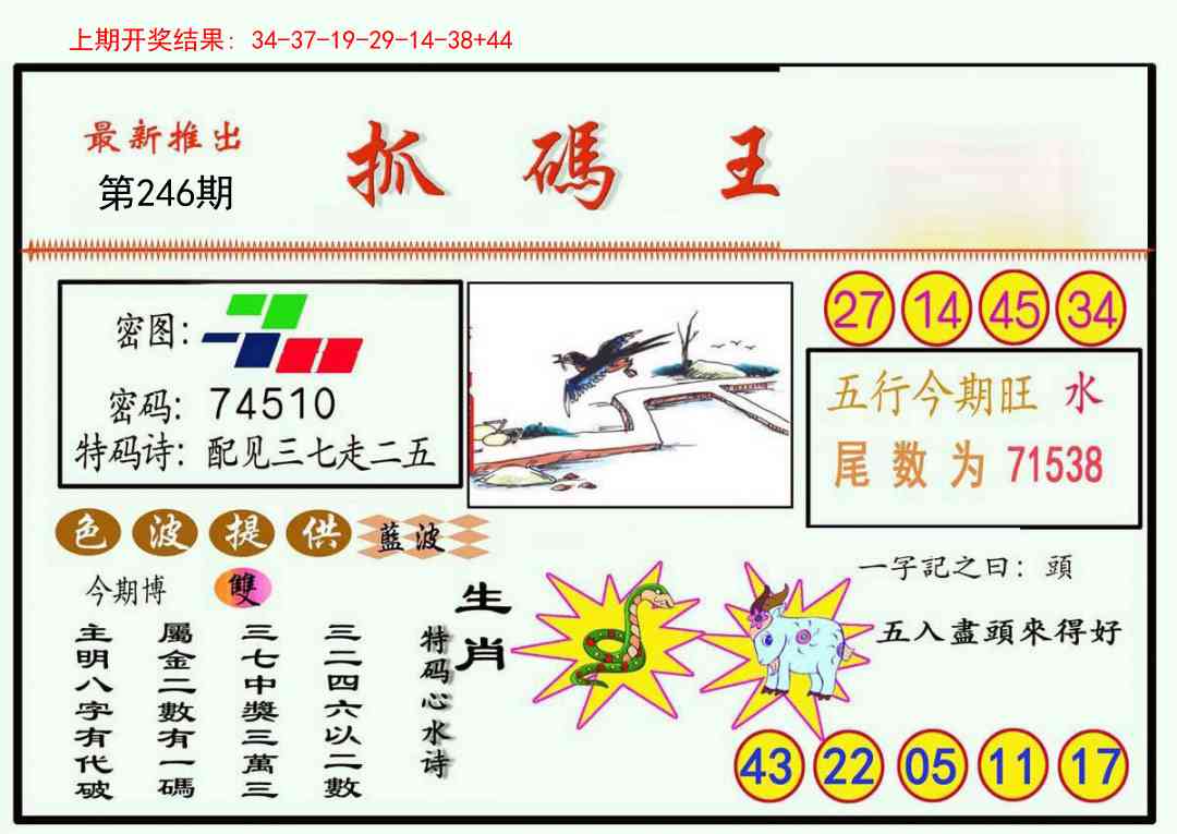 246期抓码王[图]