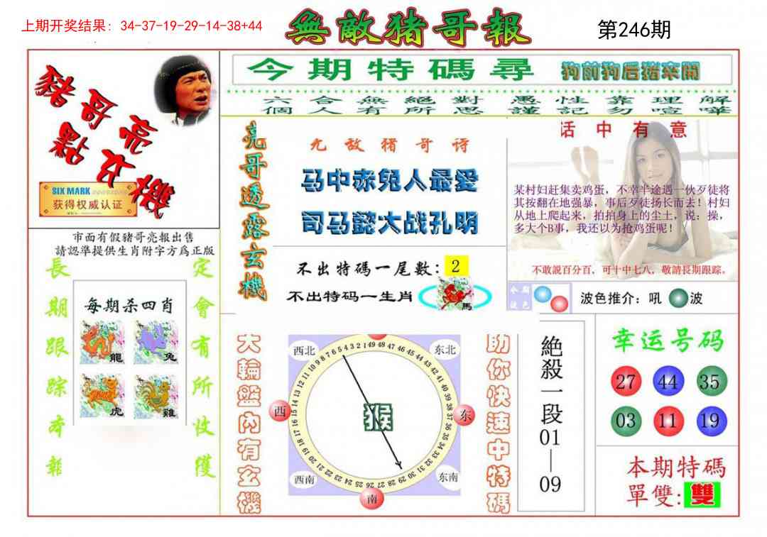 246期无敌猪哥[图]