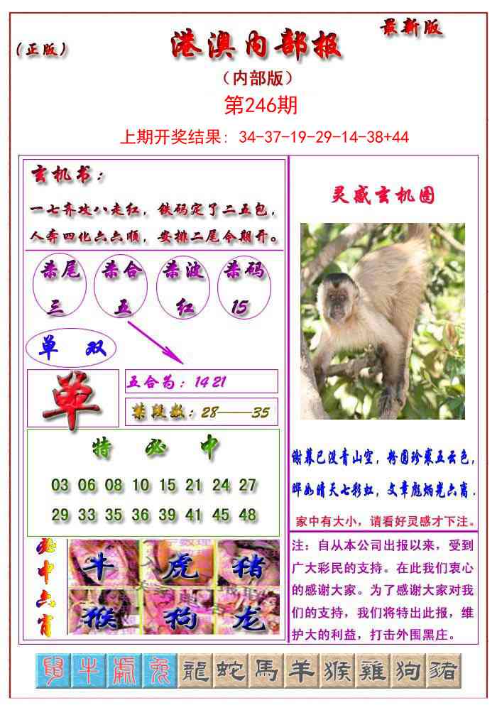 246期港澳报[图]