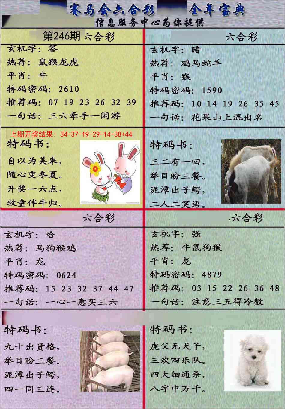 246期宝典报[图]