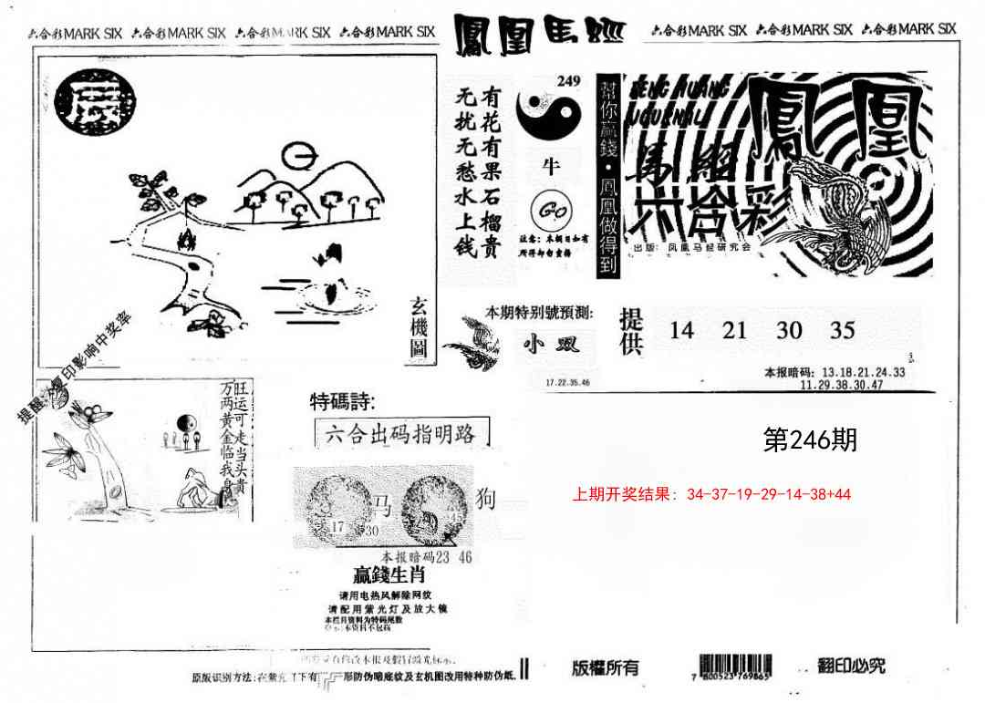 246期另版凤凰马经[图]