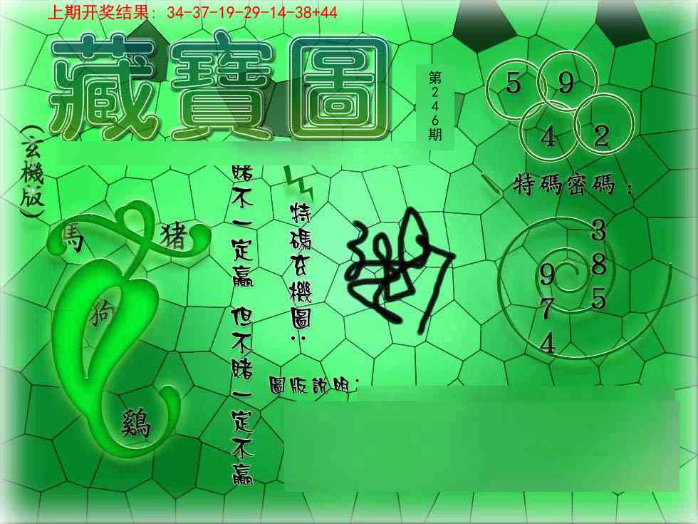 246期九龍玄机报[图]
