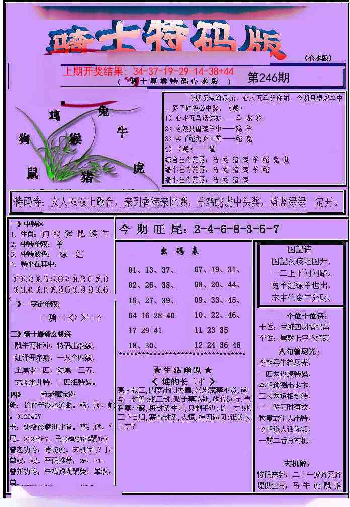 246期骑士特码版[图]