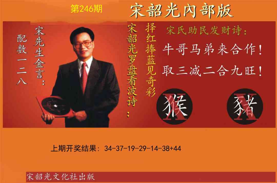 246期宋韶光内部版[图]