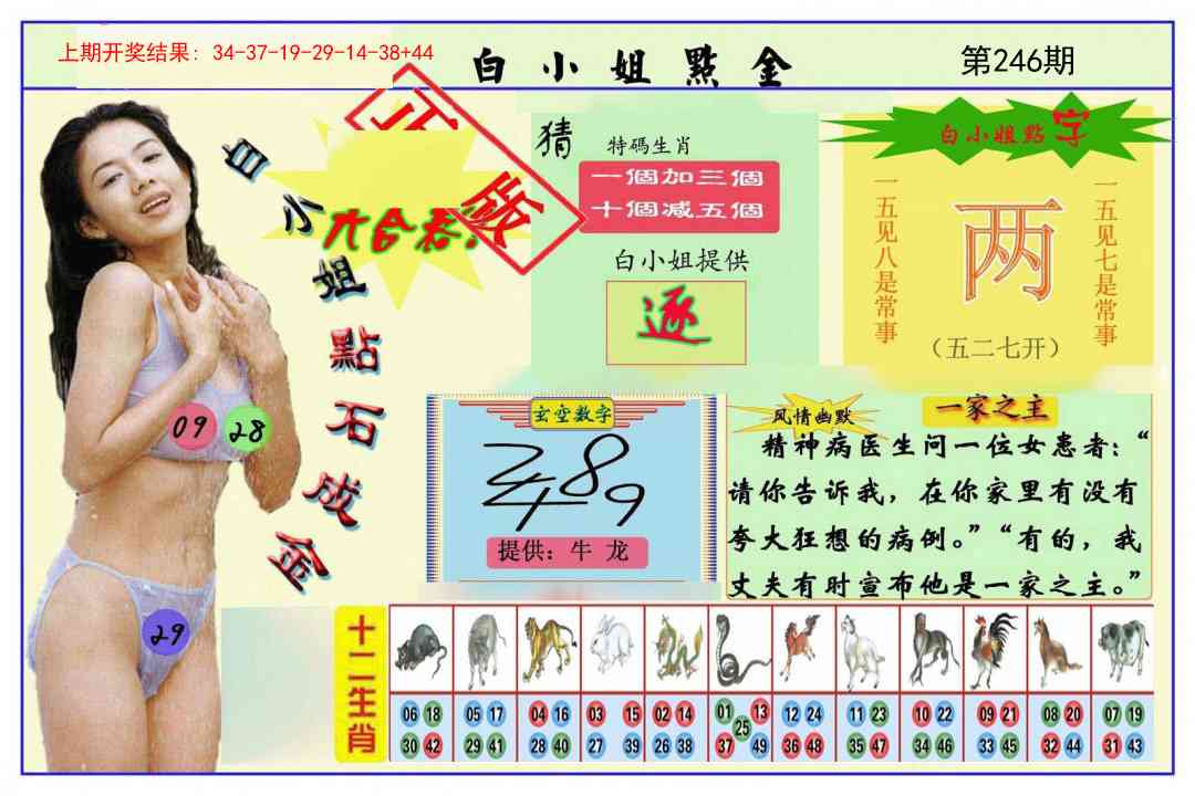 246期白小姐点金[图]