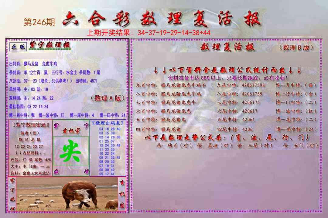 246期数理复活报[图]