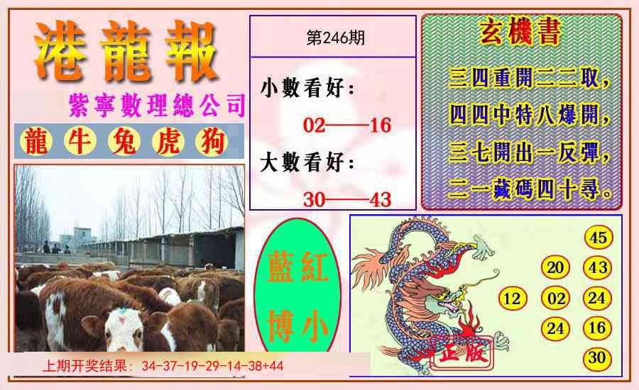 246期港龙报[图]