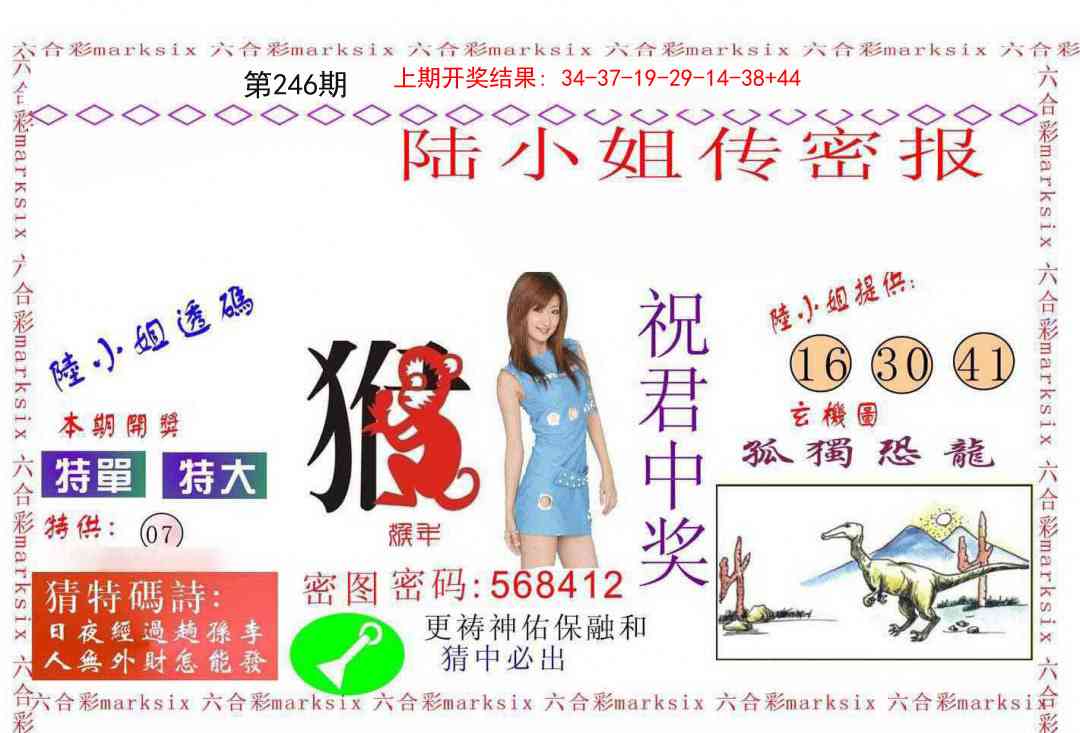 246期陆小姐传密A[图]