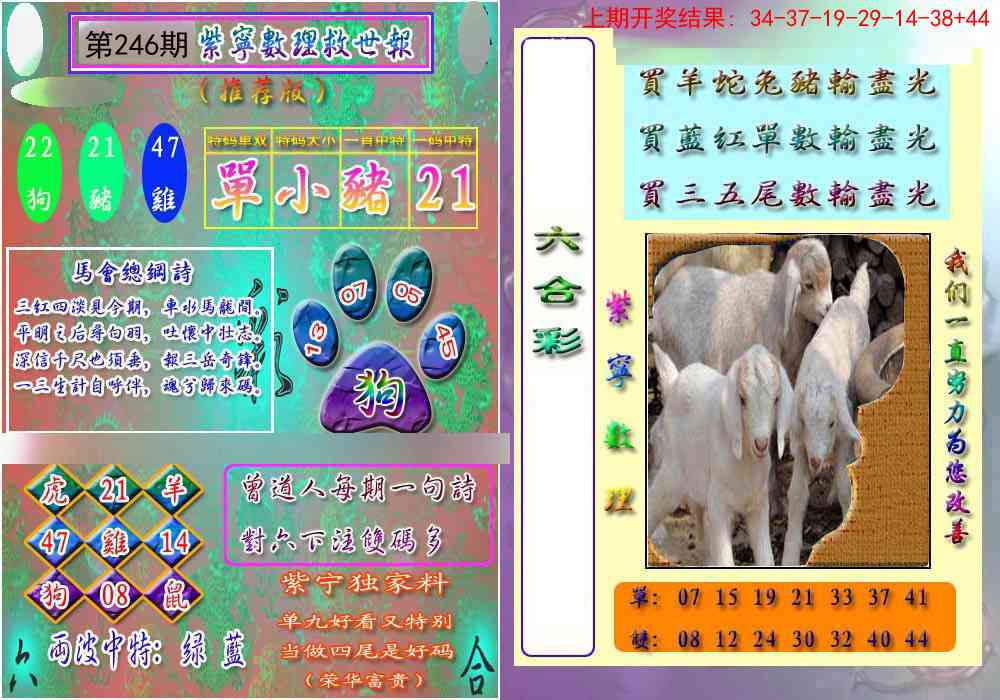 246期数理救世报[图]
