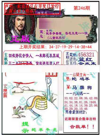246期正版孔明报[图]