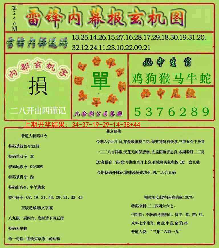246期雷锋玄机报[图]