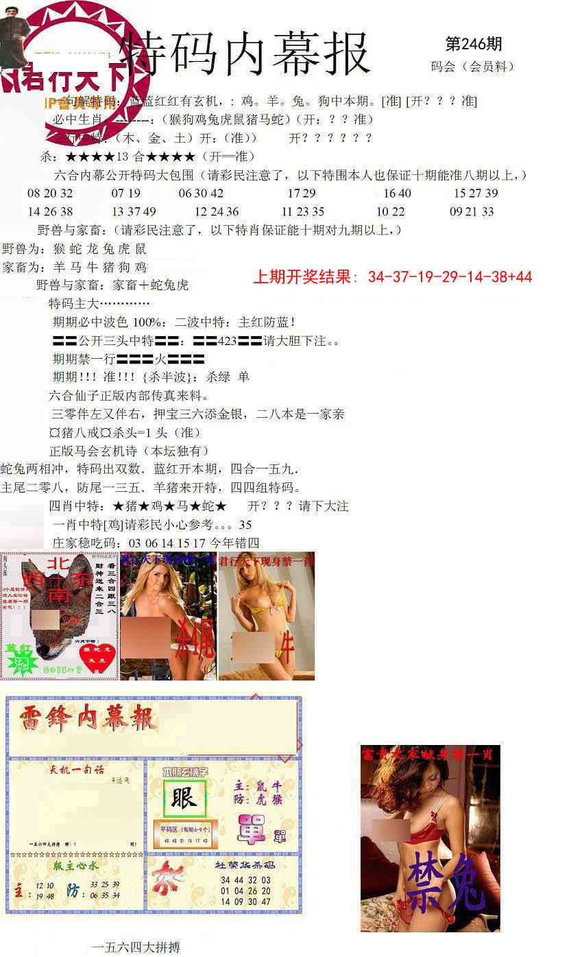 246期特码内幕报[图]