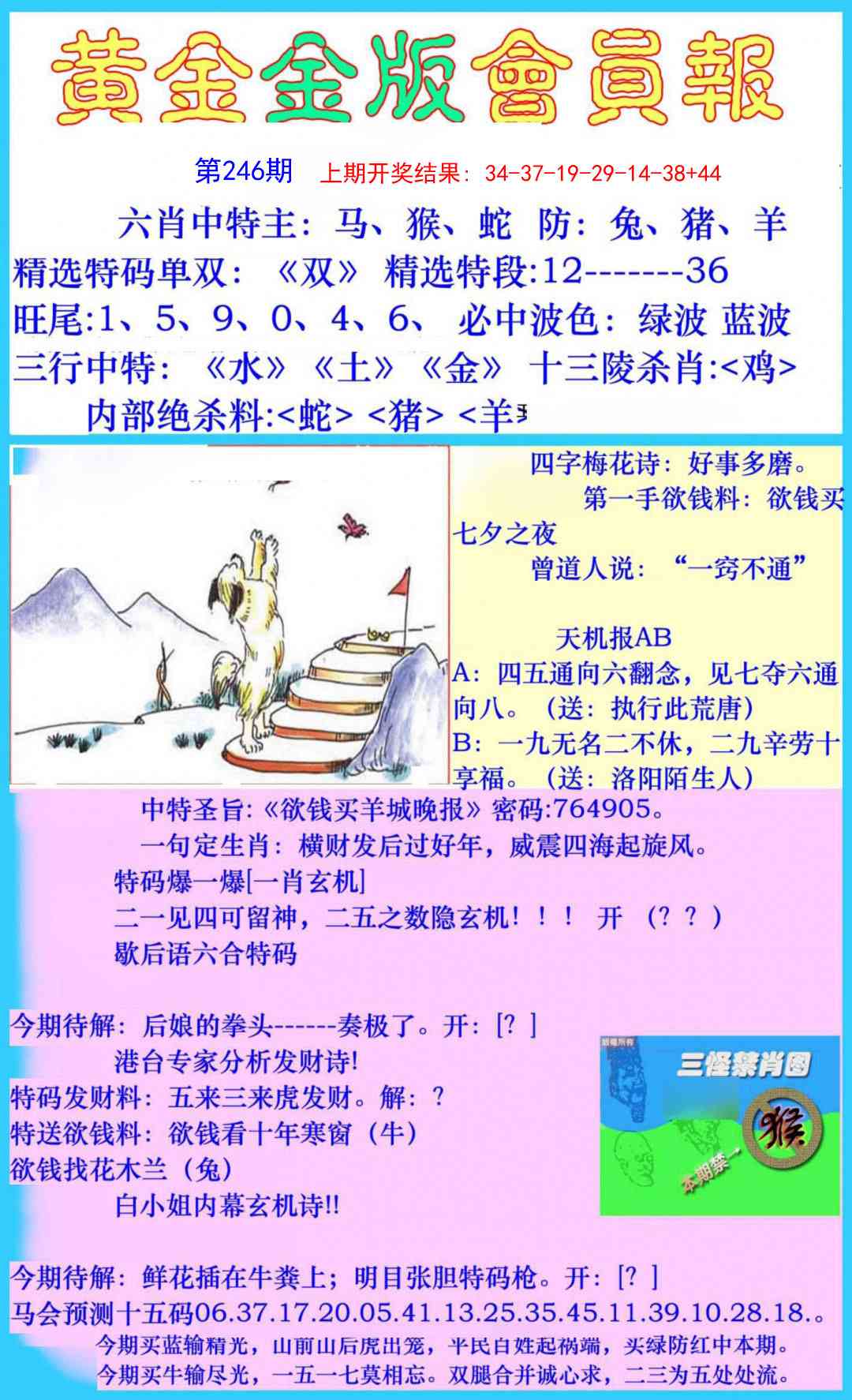 246期黄金金版会员报[图]