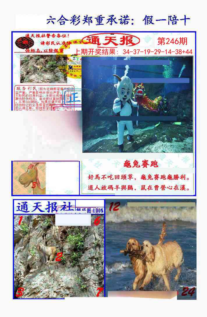 246期假一陪十通天报[图]