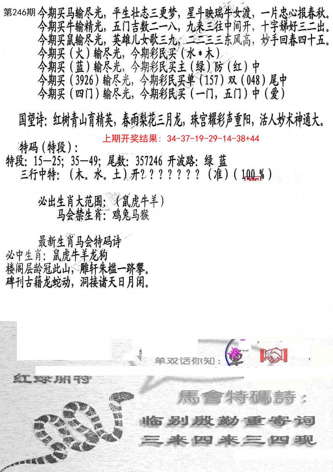 246期蛇报B[图]