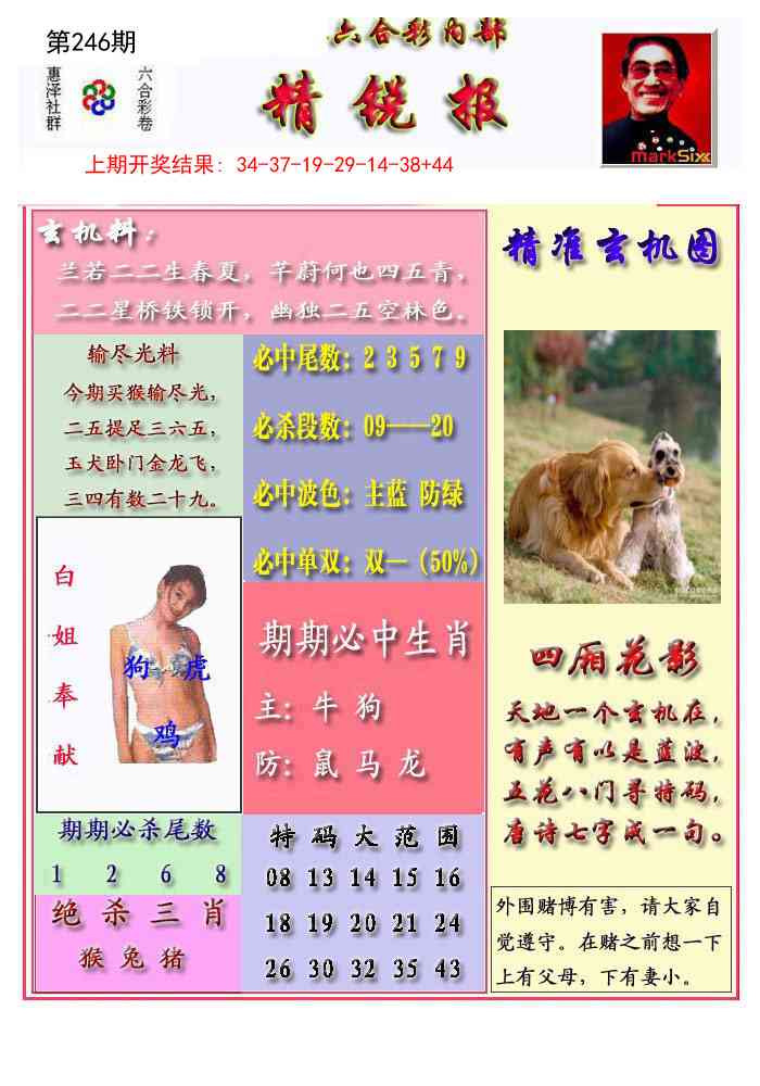 246期精锐报[图]