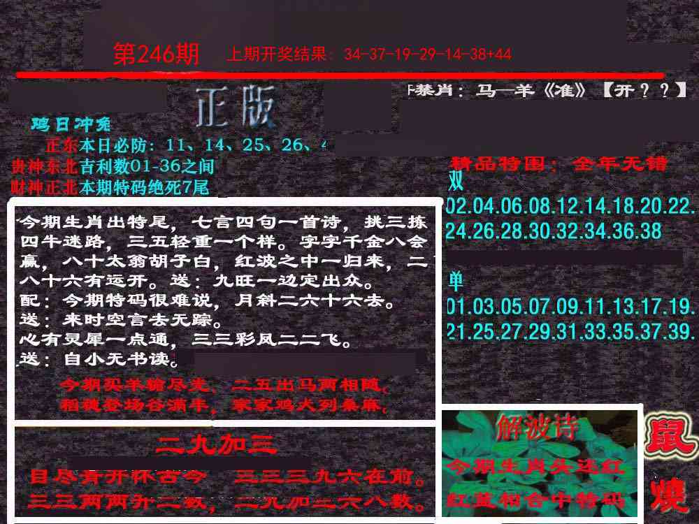 246期新港内幕[图]