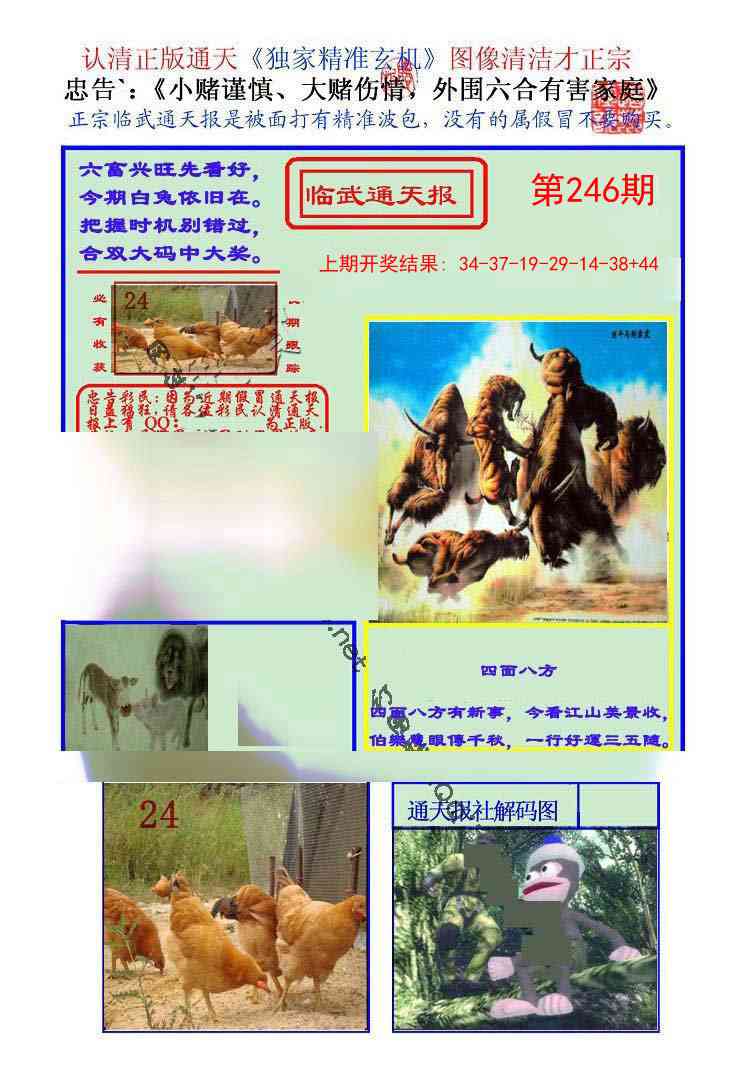 246期临武通天报[图]