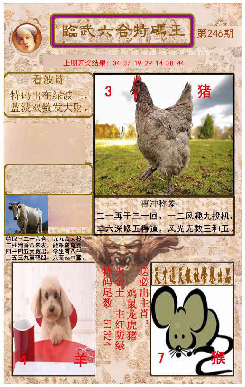 246期临武六合特码王[图]