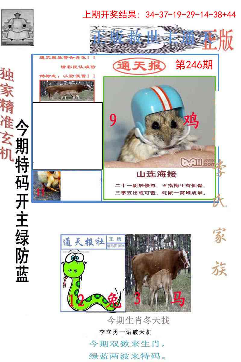 246期李力勇通天报[图]