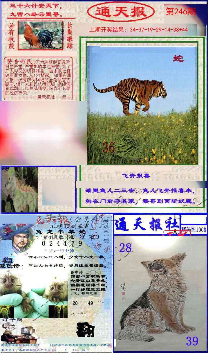 246期实力通天报[图]