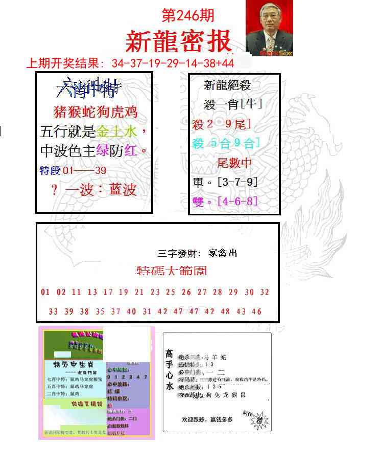 246期新龙密报[图]