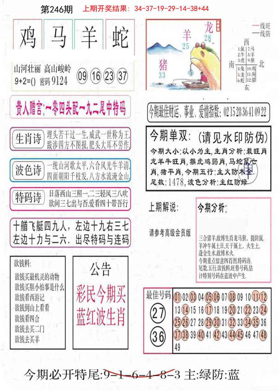 246期凤凰闲情A[图]