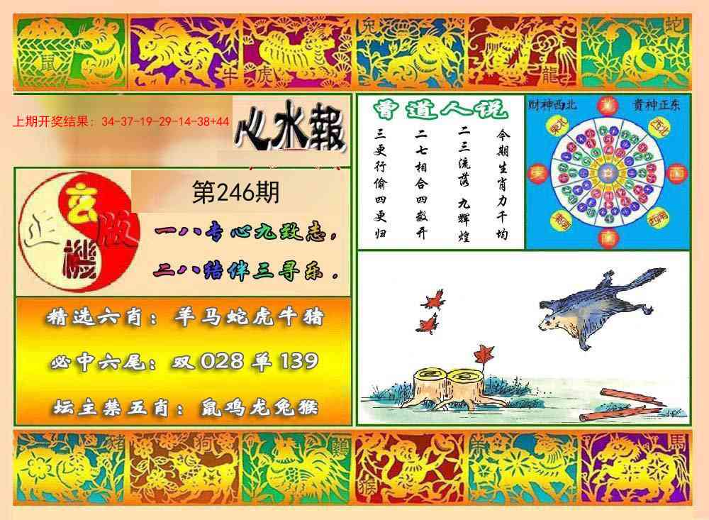 246期九龙心水报[图]